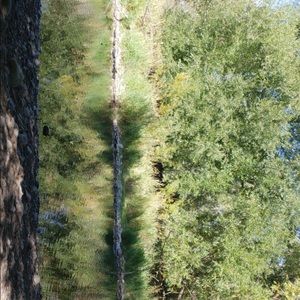 Meet your Posher, Garrett